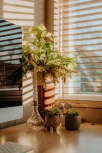 How to Create a Cozy and Inviting Home Office Space